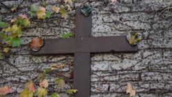 Cruz de madera con hiedra circundante