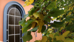 Ventana de la Biblioteca Cecilia Güefi, Secundaria