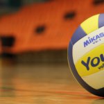 Pelota de vóleibol