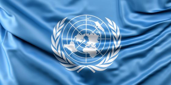 Bandera Naciones Unidas