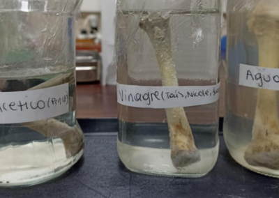 Prácticas científicas en Bachillerato Diversificado