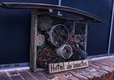 Hotel de insectos
