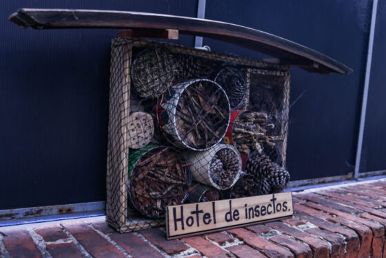 Hotel de insectos