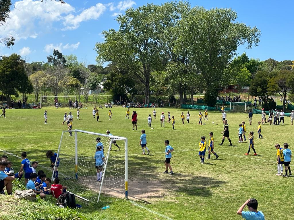 Campeonato de fútbol sub-10 de ADIC