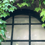 Ventana con enredadera en verde