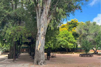 Patio de Primaria en verano