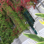 Fachada del Instituto Crandon