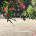 Vista del patio de Primaria