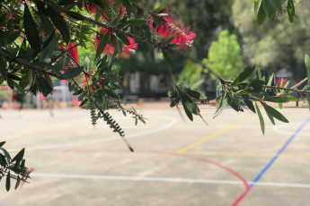 Vista del patio de Primaria